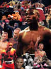 mayweather.jpg (83631 bytes)